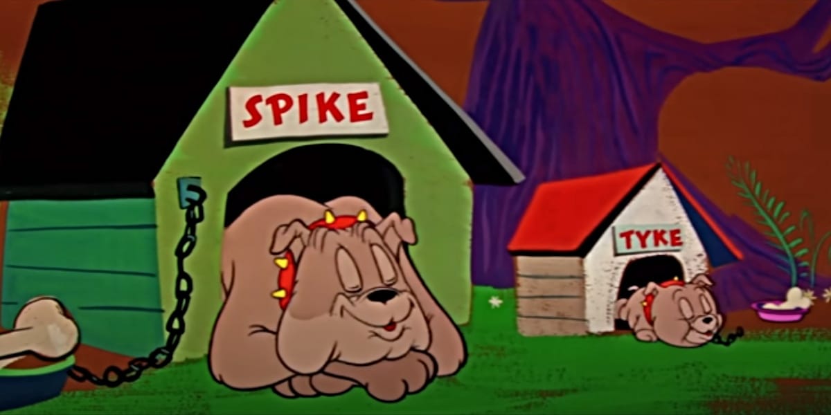 Wie Heißt Der Hund Von Tom Und Jerry Hund von „Tom & Jerry“: Alles über Bulldogge Spike